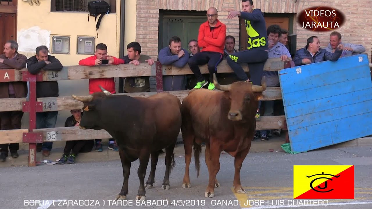 BORJA  (ZARAGOZA)  TARDE VACAS EN LA CALLE  (SÁBADO 4 MAYO 2019)  JOSE LUIS CUARTERO
