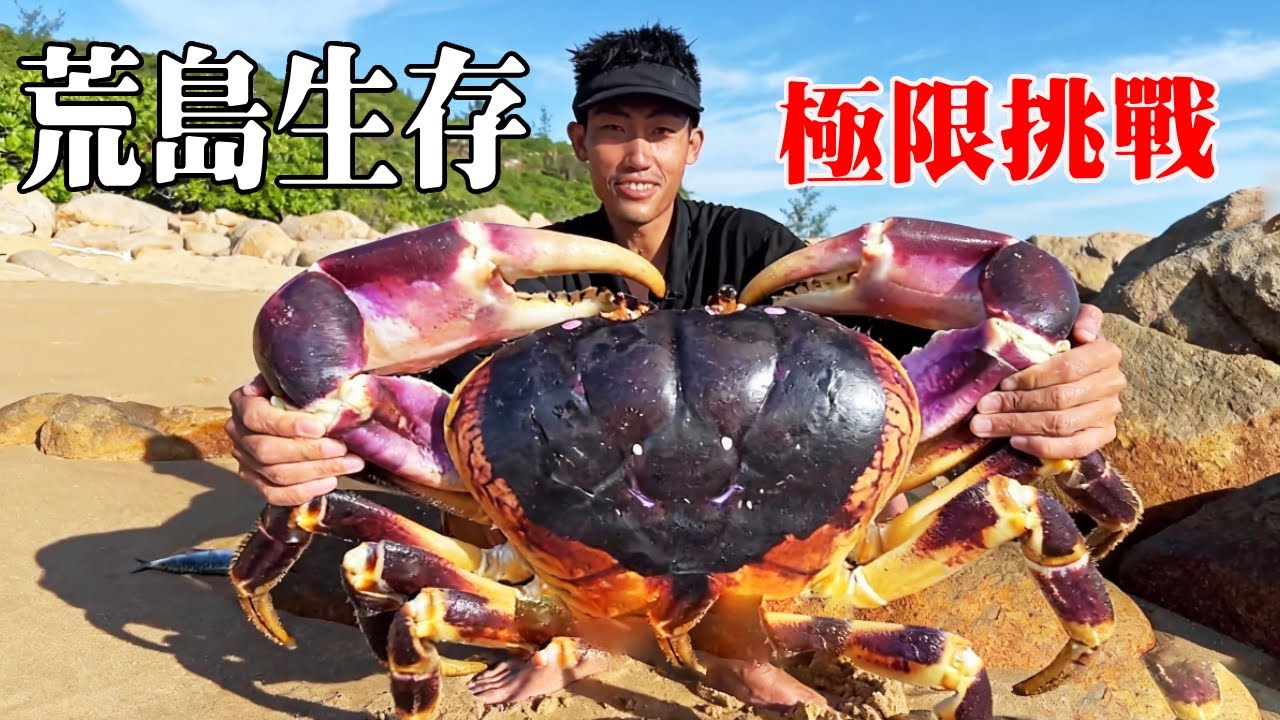 荒島生存極限挑戰60天（1～10）!趕海解決食物問題，勵志打造海島完美家園【探索兄弟】