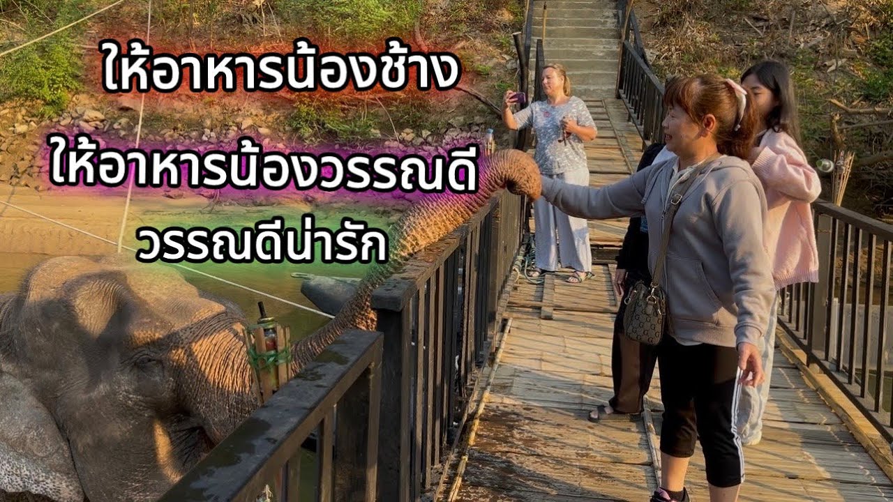 เที่ยวหมู่บ้านมอญ#ให้อาหารช้าง#ครั้งแรกชิมลูกโกโก้#ชมต้นโกโก้#Mon#village 