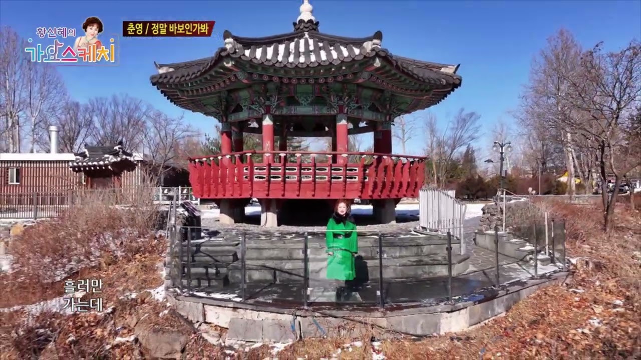 춘영 정말 바보인가봐 황신혜의 가요스케치 25회