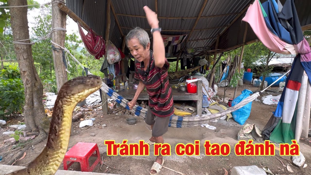 Võ sư đả rắn khổng lồ bằng tay không 