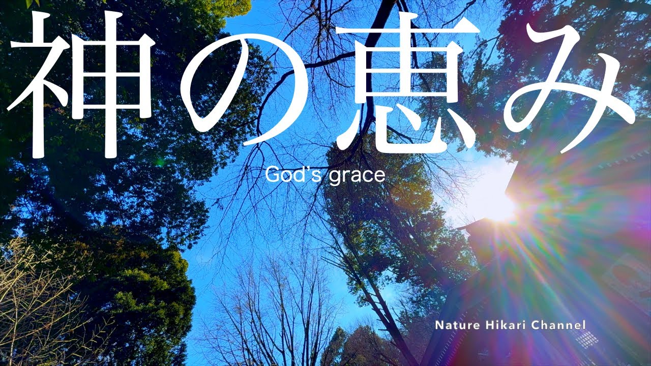 【日本の美しい自然】【春】木々の木漏れ日、神社