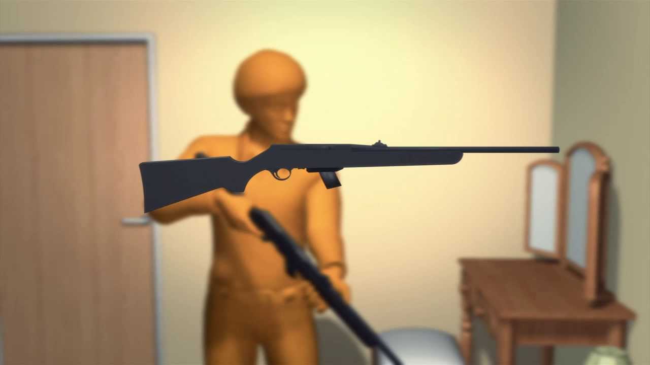 Официальное расследование: мотивы стрелка из Сэнди-Хук неизвестны