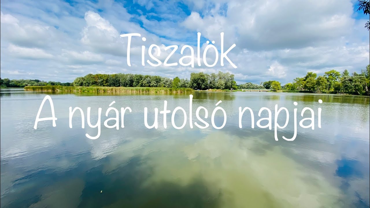 #Tiszalök #Dji #Mavic #relax The last days of the summer.