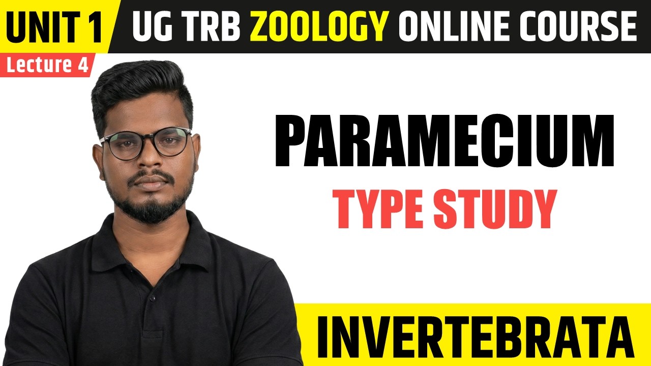 Paramecium (Type Study) | Invertebrata in Tamil (4) | UG TRB Zoology Course