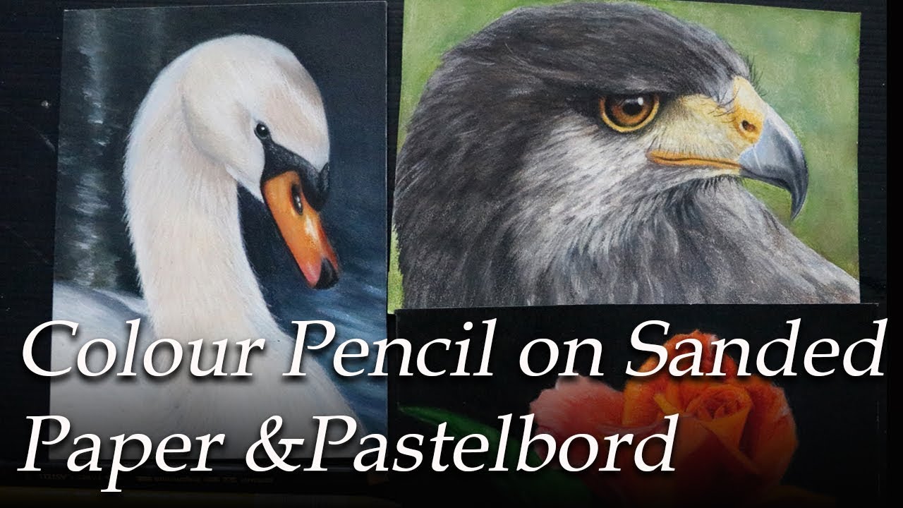 Experimenting with color pencil on sanded paper- Colourfix and Pastelbord