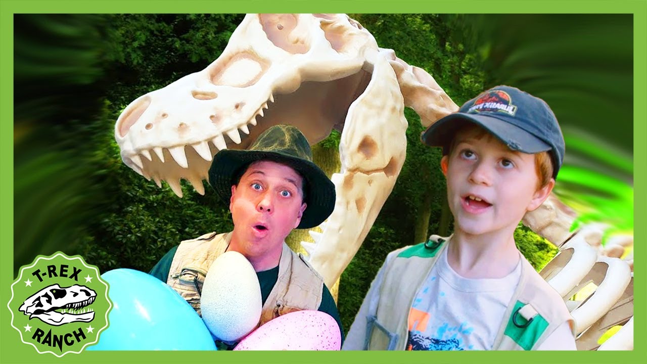 Giant T-Rex Dinosaur Surprise! T-Rex Ranch Dinosaur Videos
