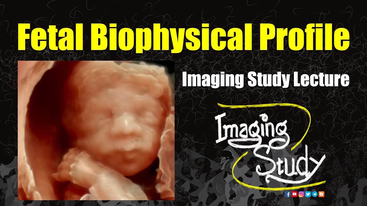 Fetal Biophysical Profile || Imaging Study Lecture || 2025