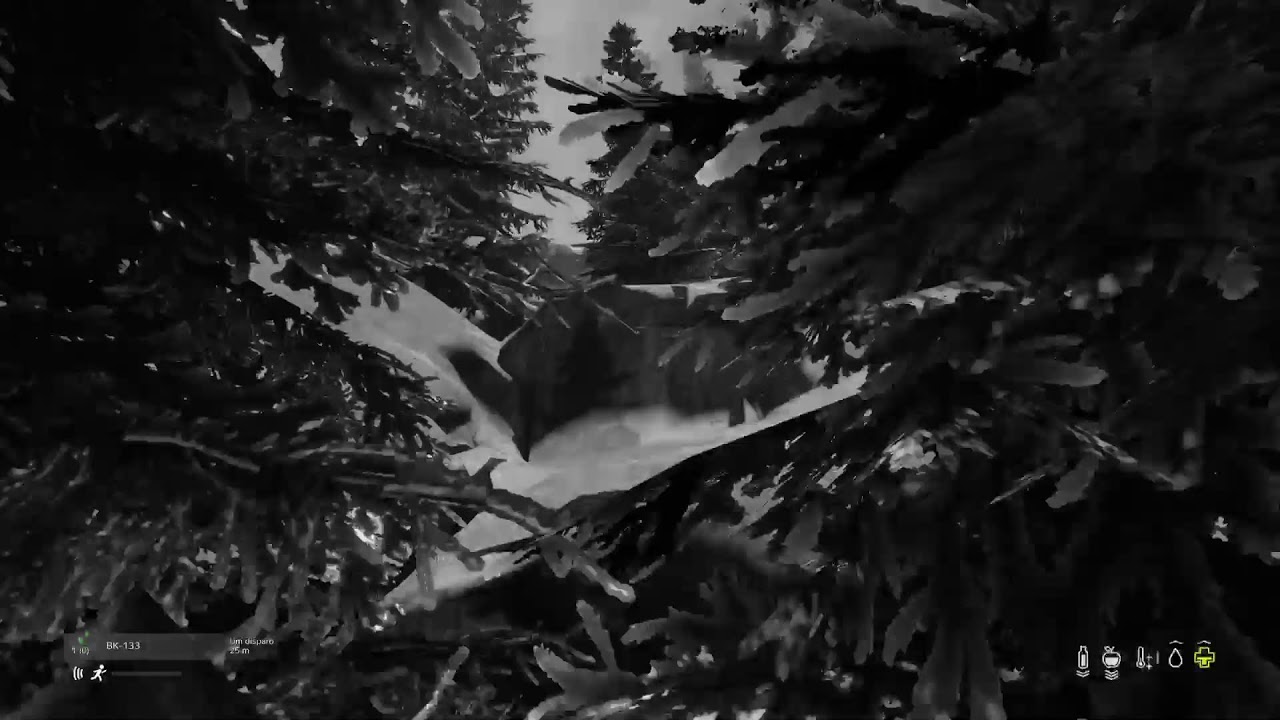 Sofrendo no gelo sakhal