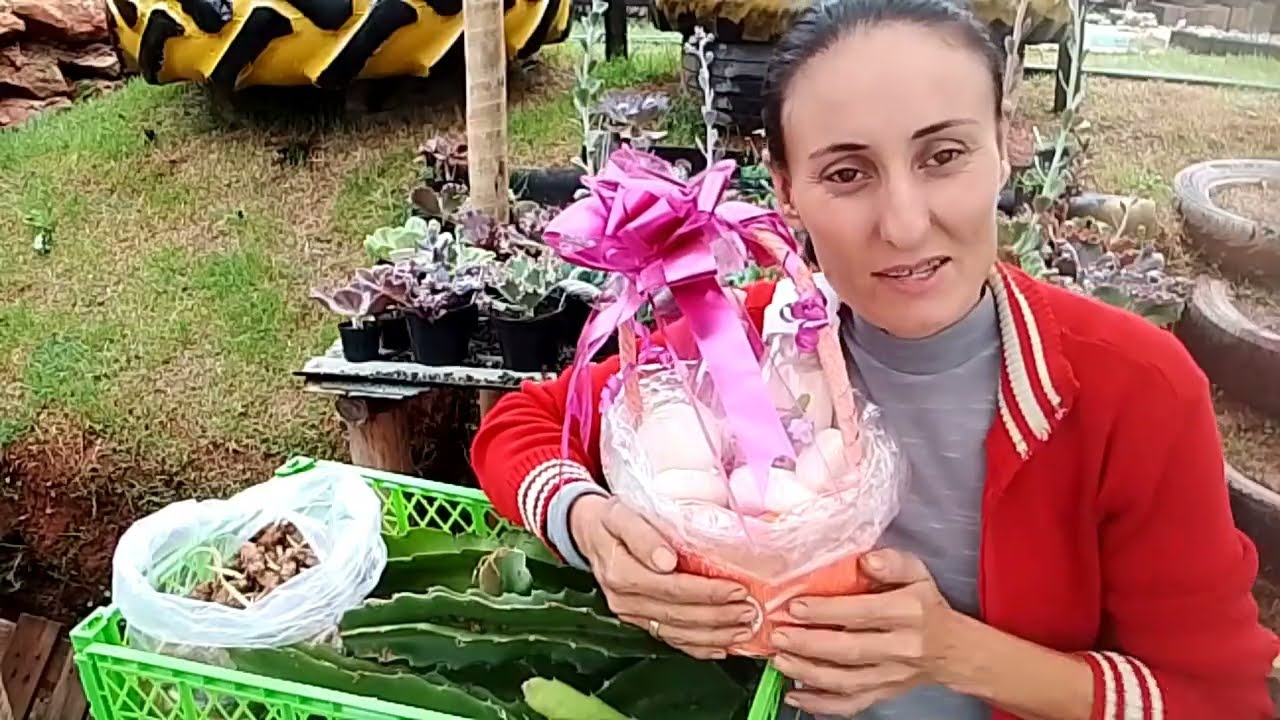 Abertura de caixinha vinda de @robianaamaral5080 