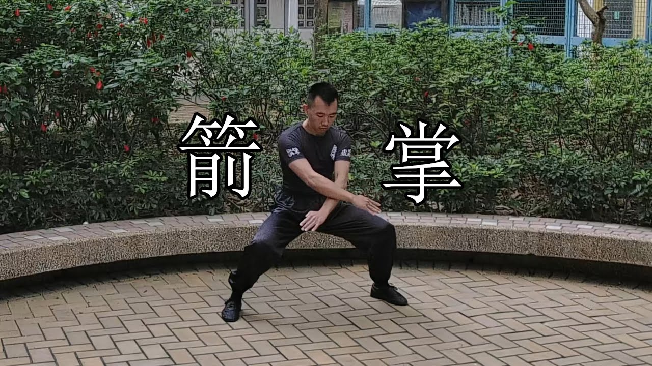 箭掌 - 嶺南洪拳虎鶴派 | 4k60 | Hung Gar Kung Fu Tiger Crane Style Arrow Palm
