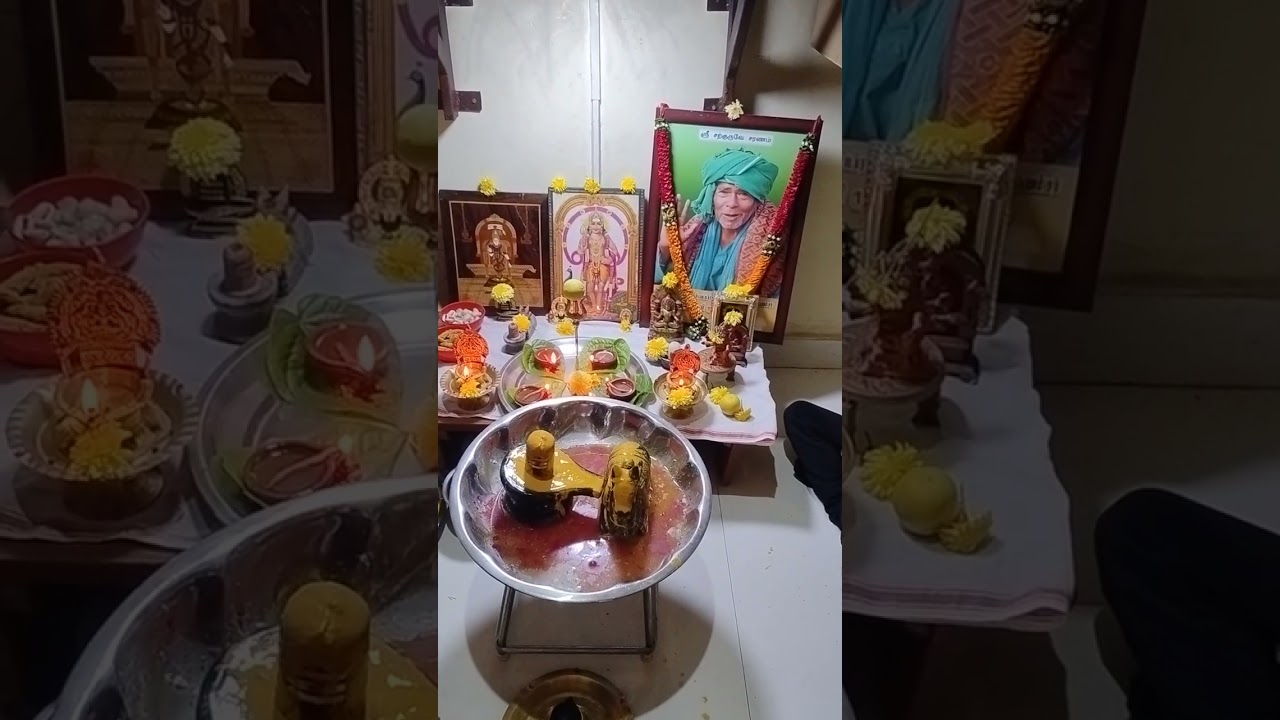 மகா சிவராத்திரி 15.02.2026. சிறப்பு அபிஷேகம்