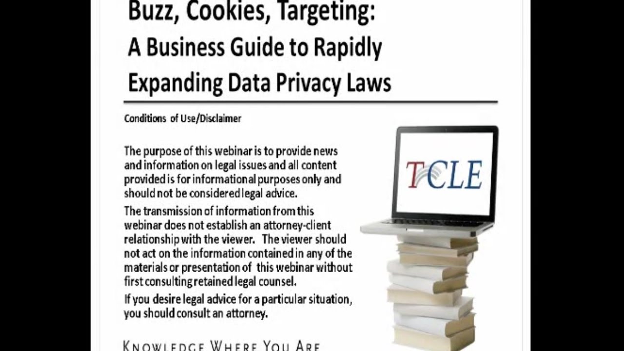 Buzz, Cookies, Targeting: A Business Guide to Rapidly Expanding Data Privacy Laws