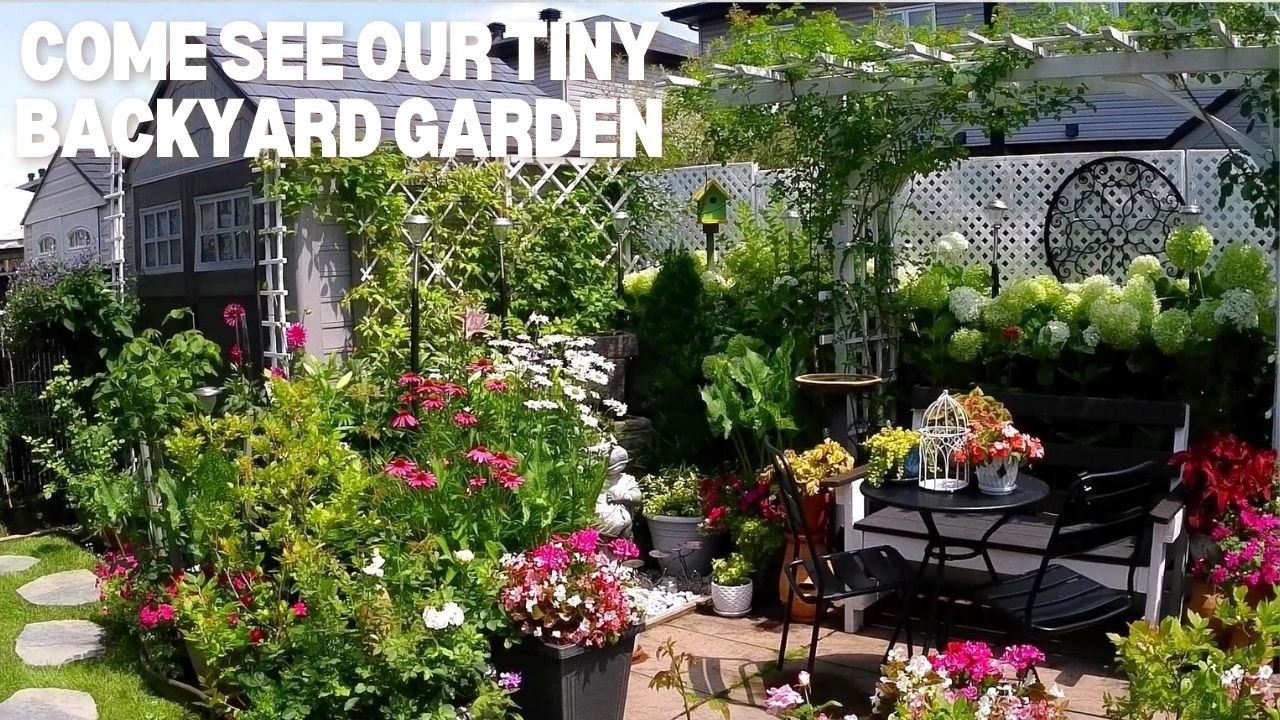 FULL VIDEO | TINY BACKYARD GARDEN TRANSITION FROM SPRING TO FALL  TO INSPIRE & RELAX #garden #new