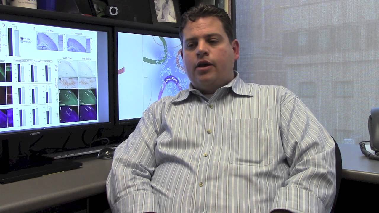 Loyal Goff on RNA in the Developing Brain