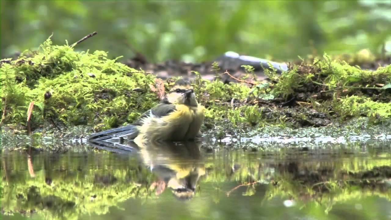 HBN fotohut in de Hof van Twente