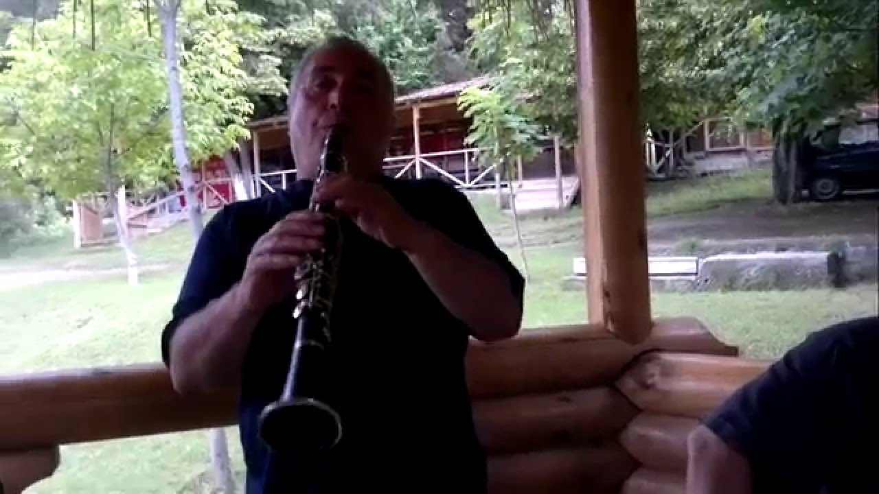 Tariel chaduneli klarneti/ტარიელ ჩადუნელი კლარნეტი #24