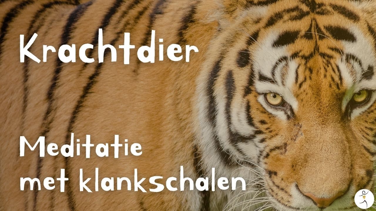 Meditatie ‘Boodschap van je krachtdier’