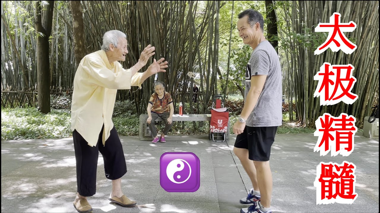 乾貨滿滿 ☯️ 太極推手核心技巧 | 不丟不頂 · 來留去送 · 借力打力 | Tai Chi Push Hands