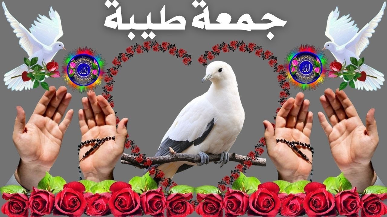 اللهم في يوم  الجمعة ارزقنا قلوباً تتجلى بخشيتك، ونعماً تدوم بفضلك وأرواحاً تهوى طاعتك