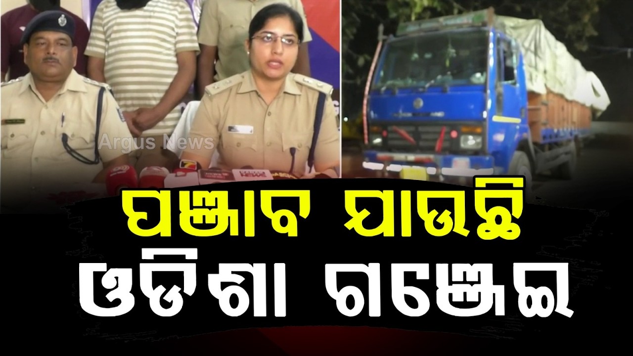 ପଞ୍ଜାବ ଯାଉଛି ଗଞ୍ଜେଇ | Sundargarh Police Seized 1 Quintal 46 Kg Ganja | Argus News