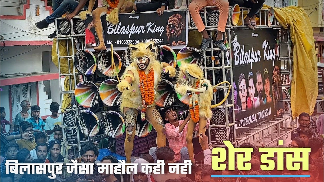 ऐसा शेर नाच सिर्फ बिलासपुर में होता है मोहर्रम 2022 - Sher Baja Sher Dance | Moharram Bilaspur 2022