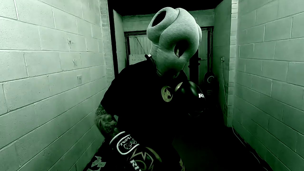 Virtual Sparring vs Alien