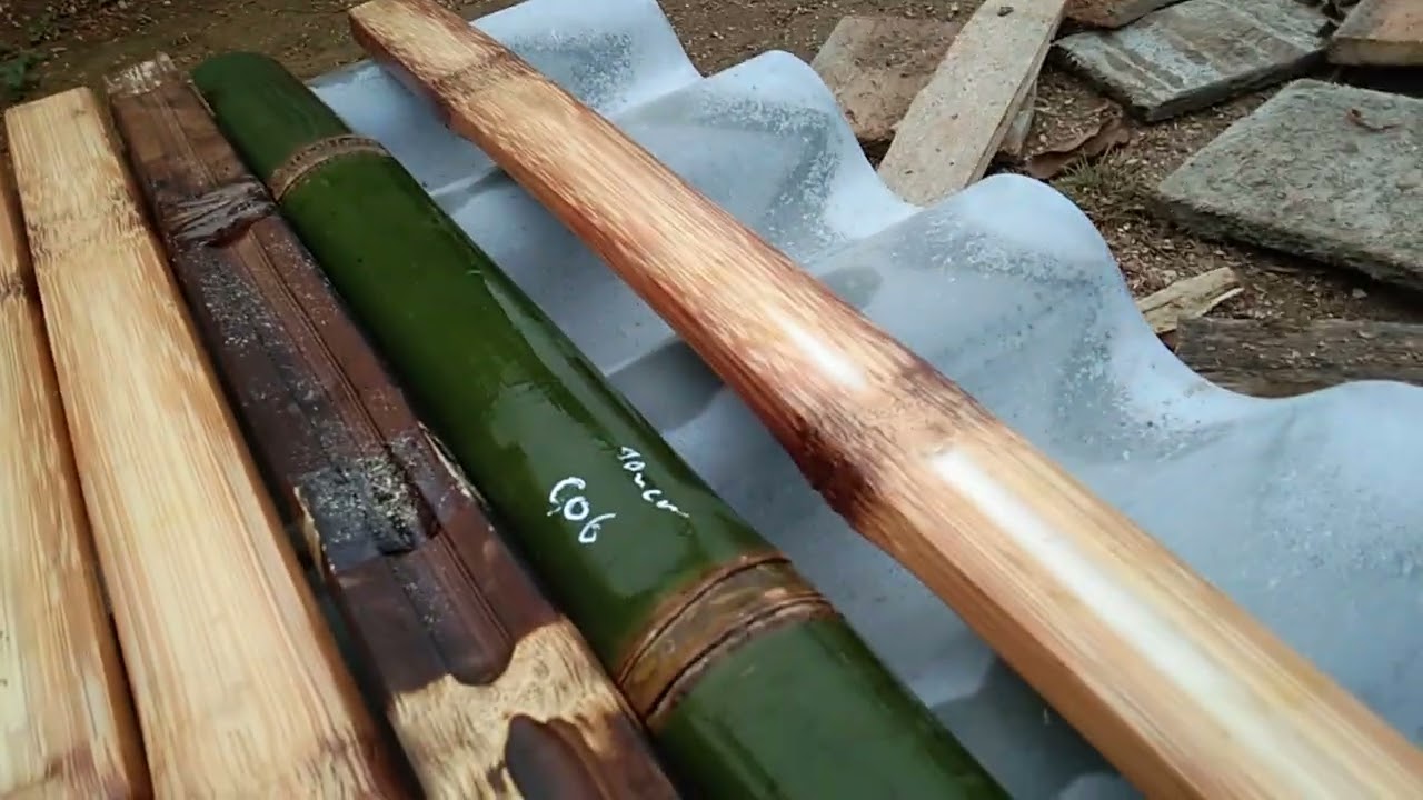 Cánh nỏ tây bắc 27-12-2025👍