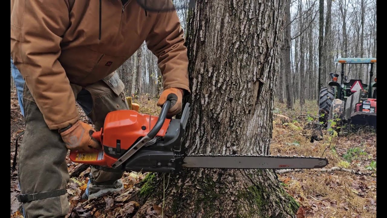 Обзор Husqvarna 585, сверление и валка древесины из твердого клена, цепь Husqvarna C83 и 28-дюймо...