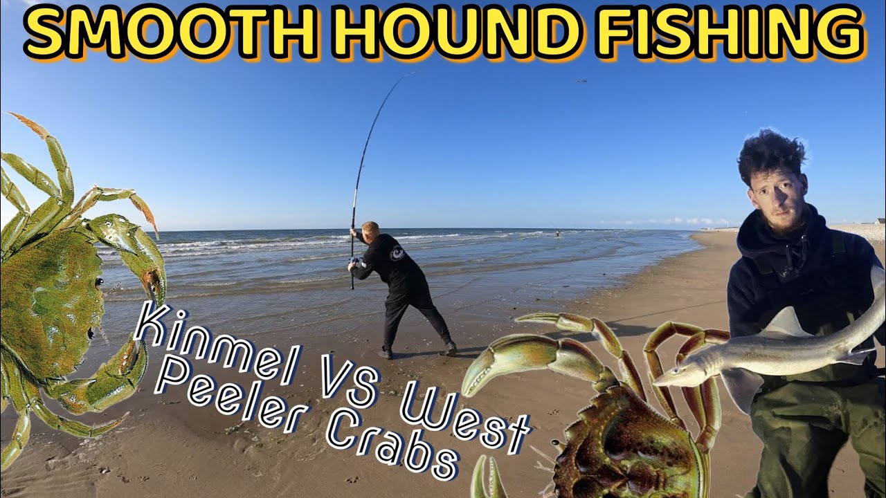 SMOOTH HOUND FISHING - Kinmel VS West peelers!  UK sea fishing
