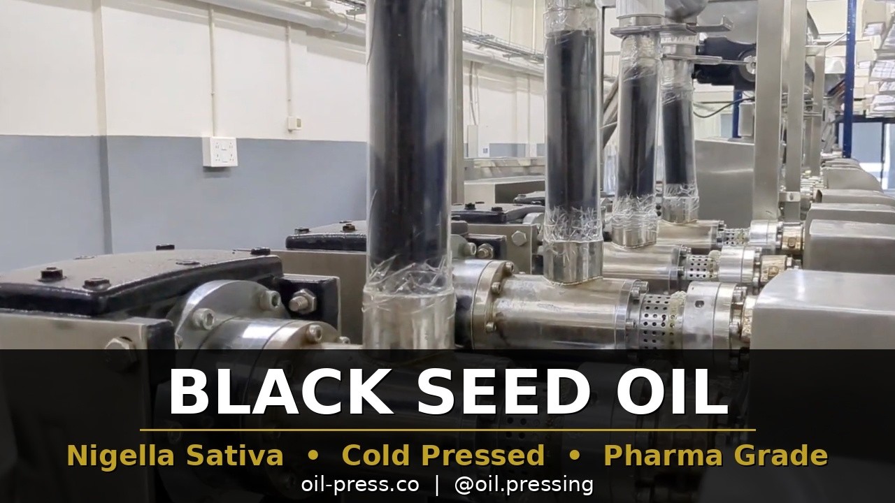 Cold Press Oil Machine - Organic Cold Press Black Seed Oil