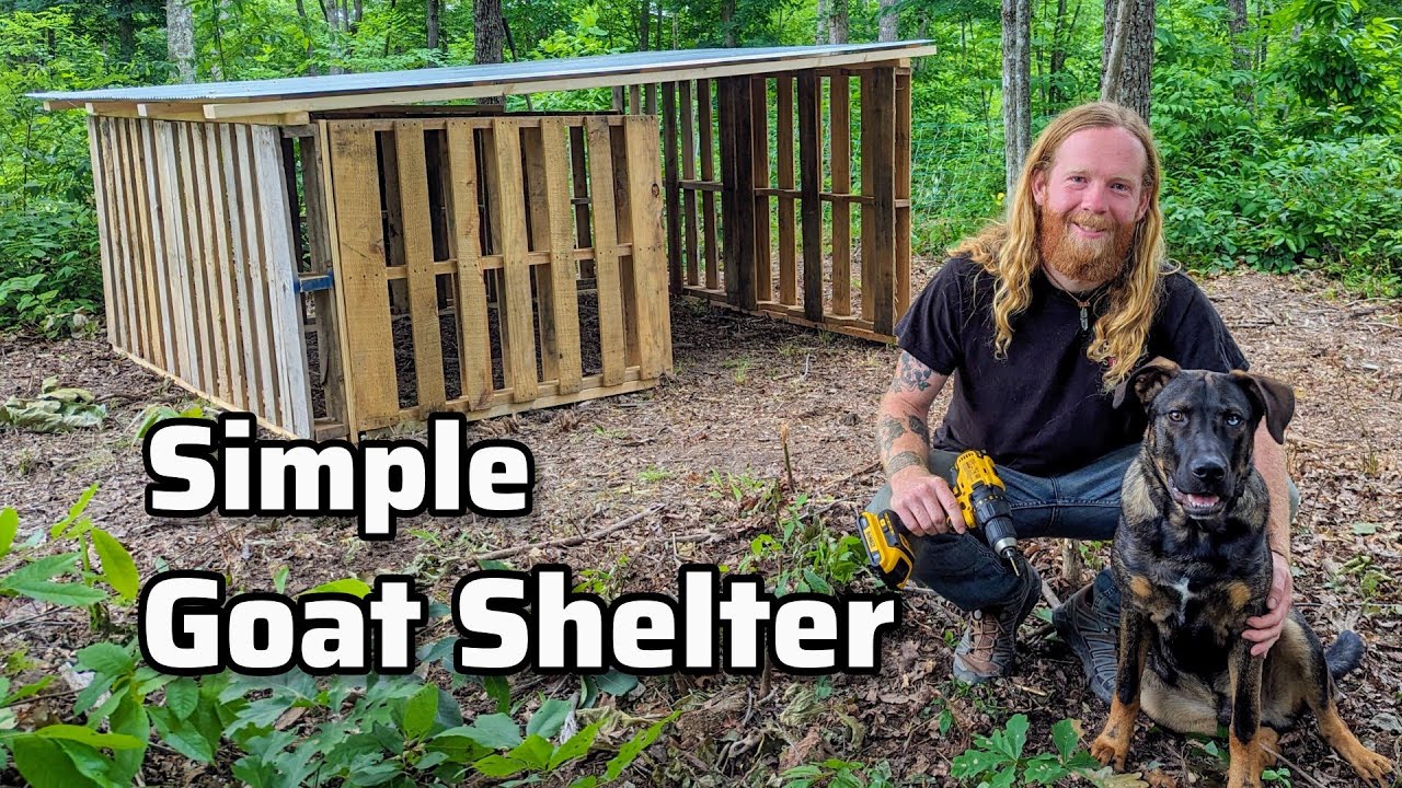 Building a PALLET GOAT SHELTER on our Off-Grid Homestead