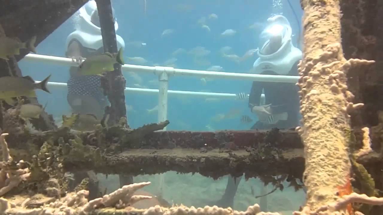 Sea Trek St Maarten