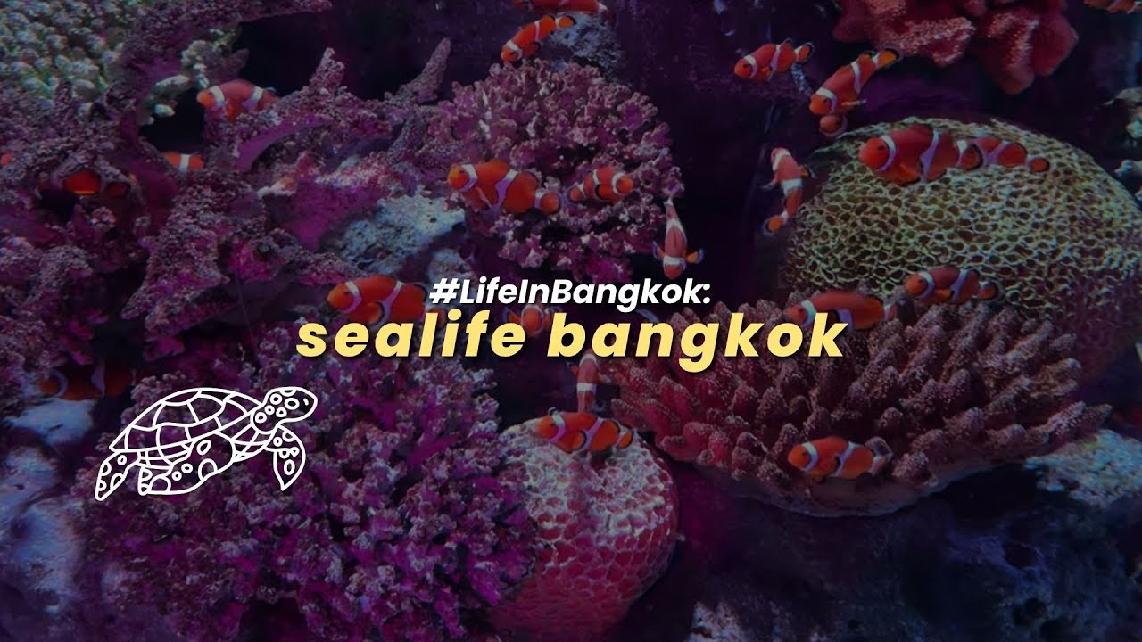 Sealife Bangkok | The BIGGEST Aquarium in Thailand | With SHARKSS 🦈