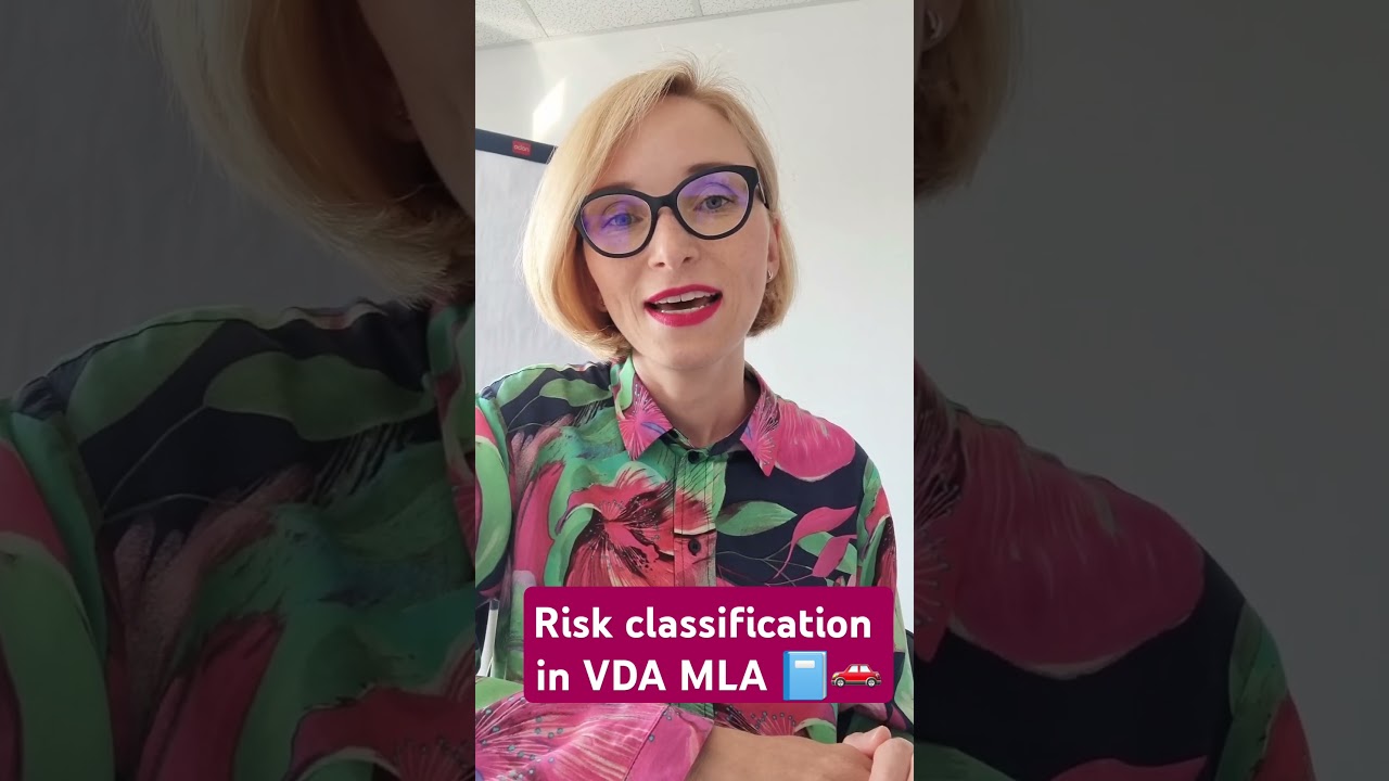 RISK CLASSIFICATION IN VDA MLA- project management in 🚗 