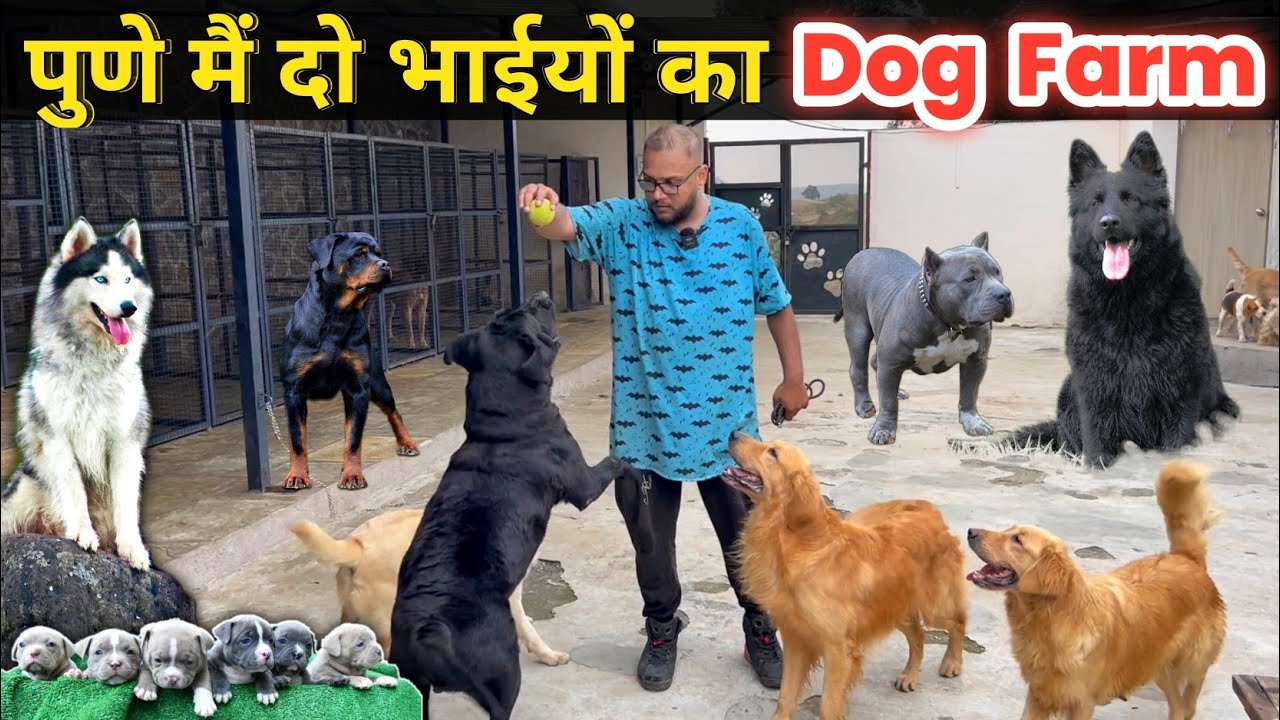 🔥पुणे मै दो भाईयों का सपनों का Dog Farm | AYRO Farms | The Barking Mansion Pune #sandhuagrofarm
