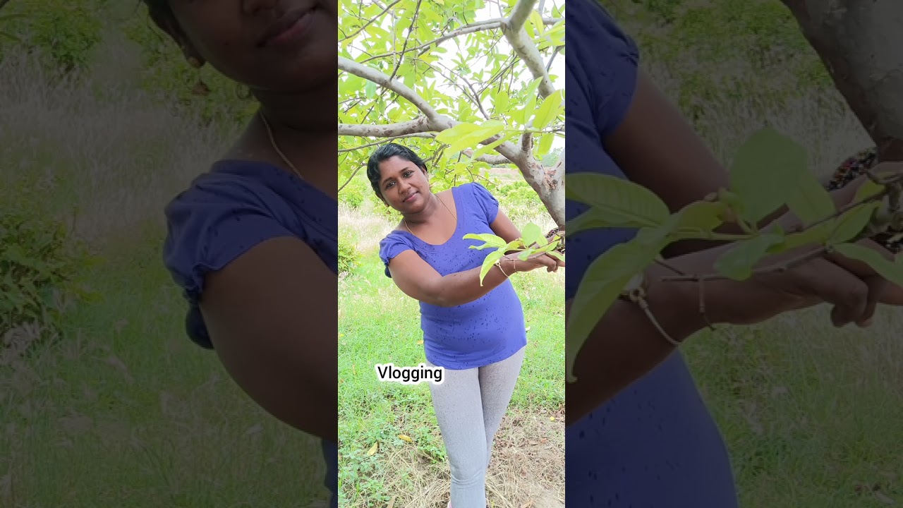 photoshoot #vlogging #farmvlogger #photoshoot