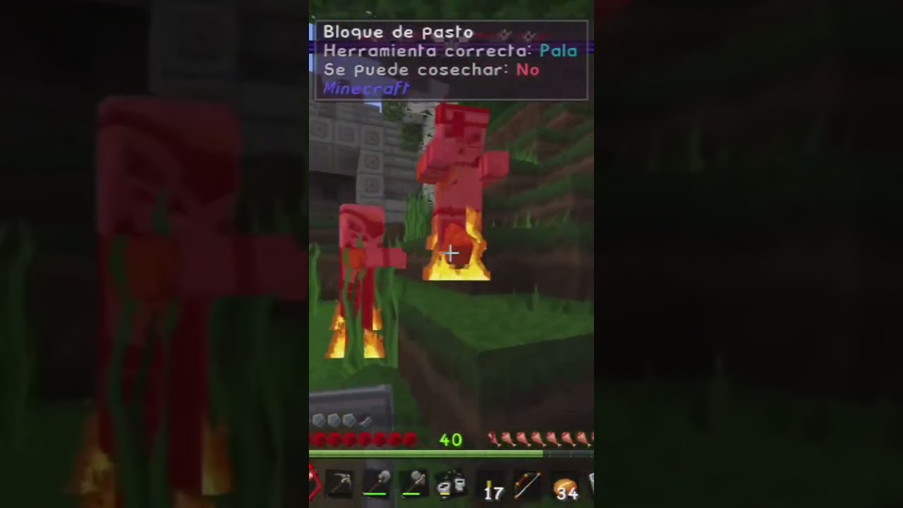 El Jefote 