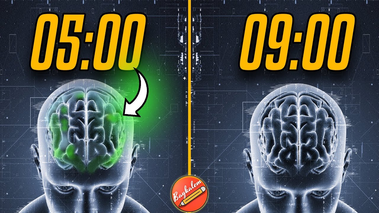 Как пробуждение в 5:00 меняет вашу жизнь