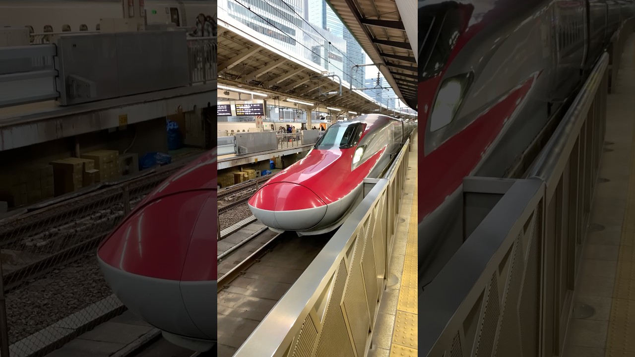 【大サービス】こまち・はやぶさ35号東京駅発車‼️#shorts #shortvideo #funny #新幹線 #東北新幹線