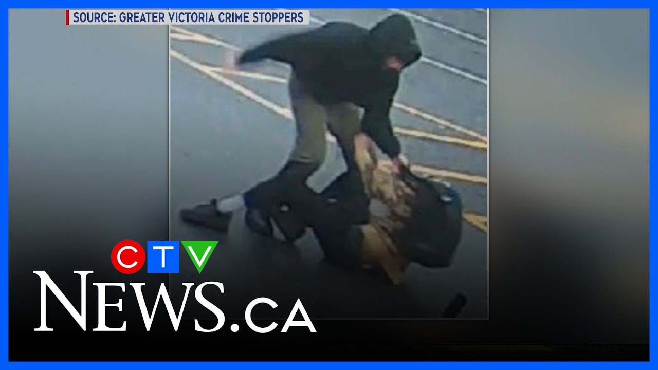 B.C. teen brutally attacked in Saanich cell phone theft