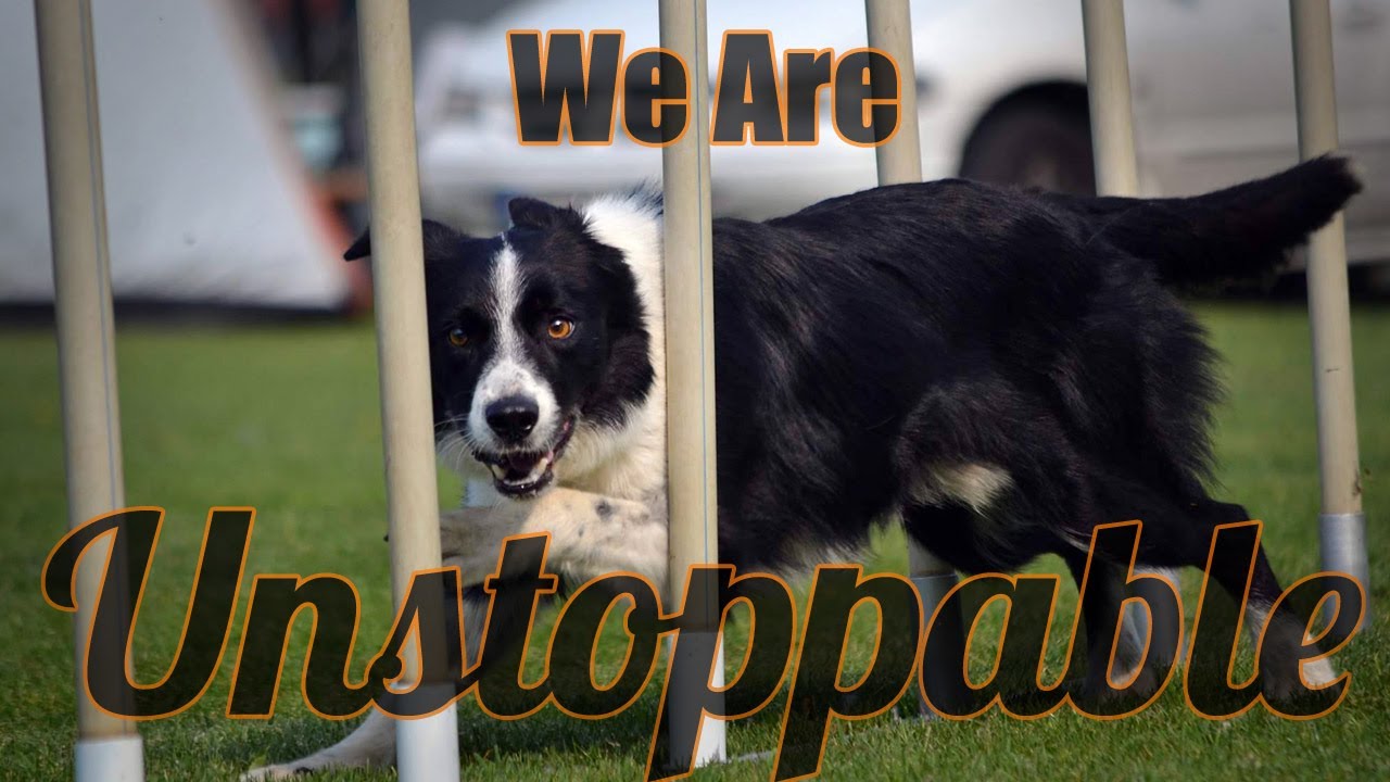 We Are Unstoppable | Syrius Agility Sport Music: The Score - Unstoppable