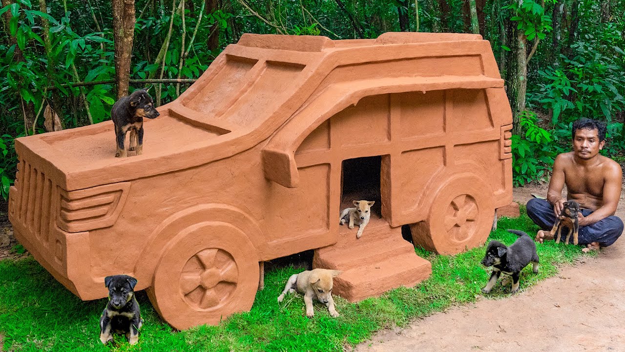 Build New Dog House Mud For Homeless Puppies