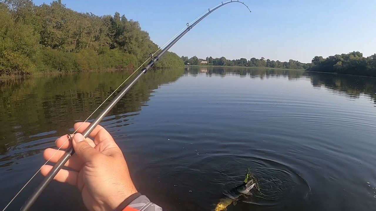 Pêche du carnassier ( Club de pêche du lac de Bambois)