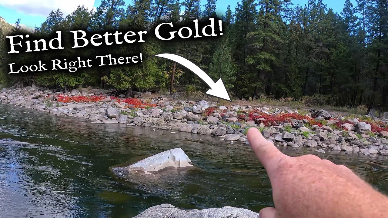 If only I had looked right there!  Much Better Gold!