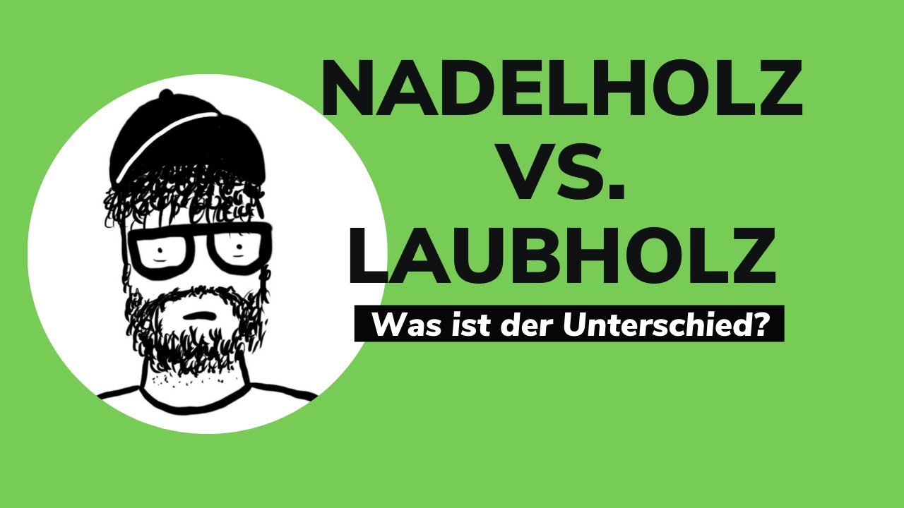 KFKA#4  - Nadelholz VS Laubholz - Was ist der Unterschied? | Schreinerwissen | puradietischler