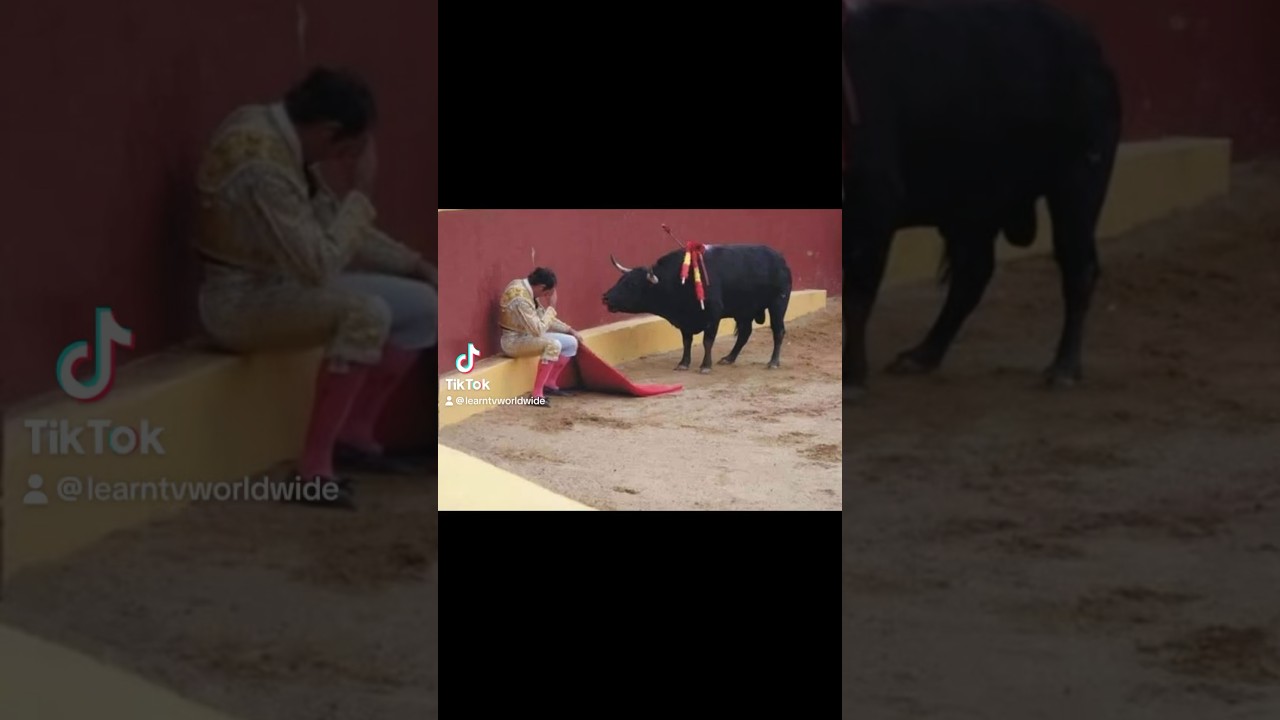 Bullfighting   