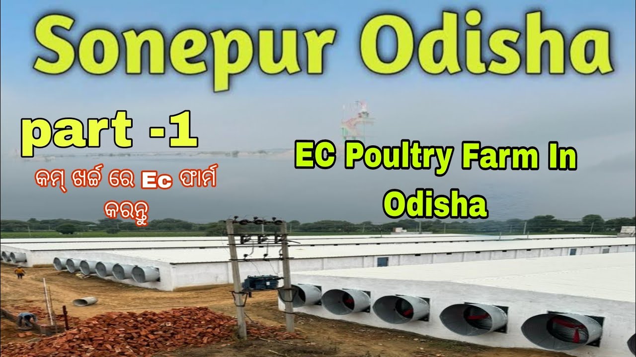 Ec poultry farm in sonpur odisha ।।Ec Poultry farm. Ec equipment .@BharatEcagro
