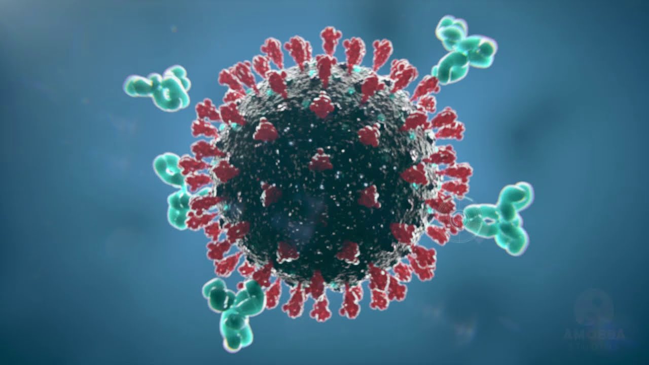 How does the Covid-19 mRNA vaccine work?