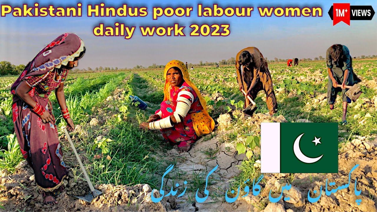 Pakistani Hindus poor labour daily work | Village Life in Pakistan | Rural Life | Hindu in Pakistan